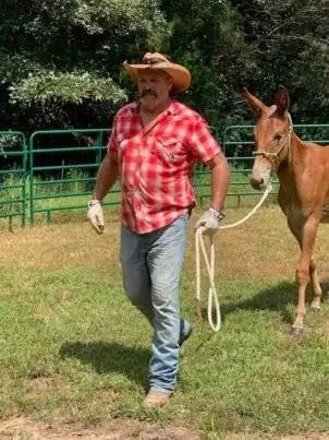 with mule